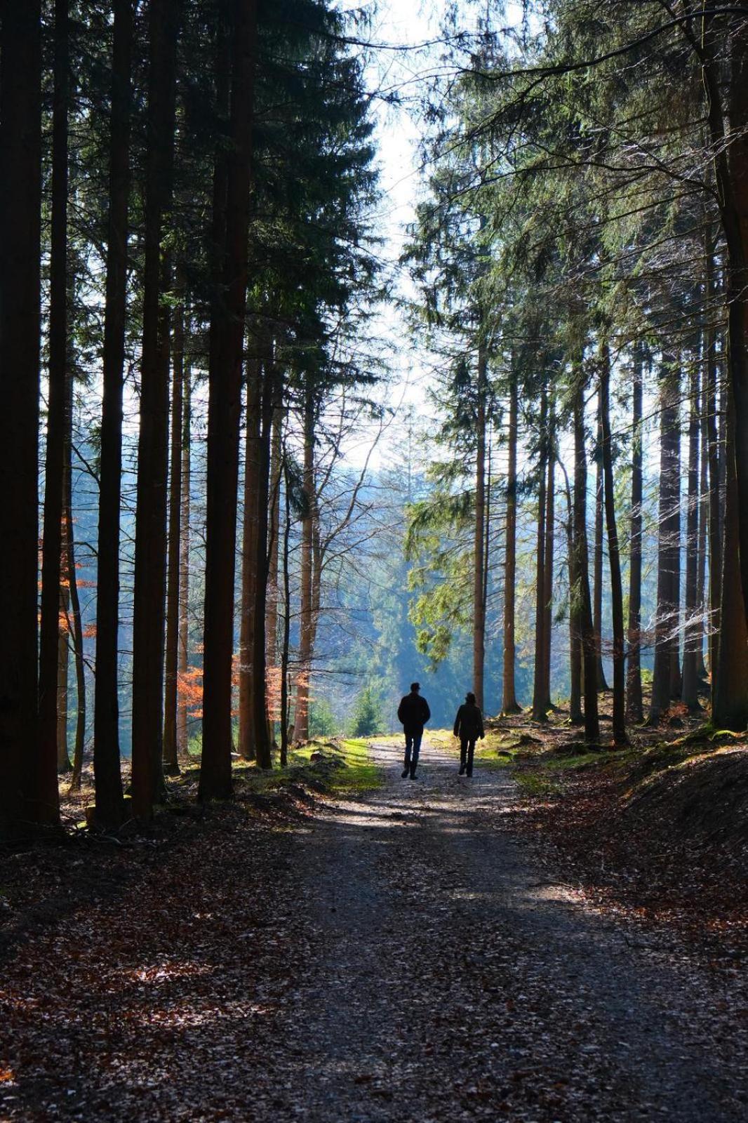 L' Extravagante Im Garten Von Schloss Schmidtheim Dış mekan fotoğraf
